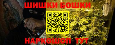 СК Дубна