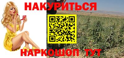 СК Дубна