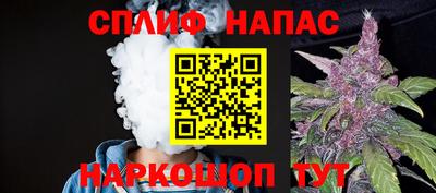 СК Дубна