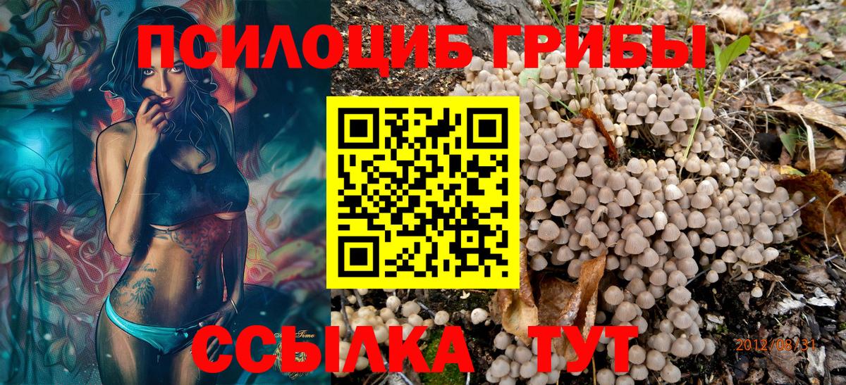 Псилоцибиновые грибы ЛСД Моздок