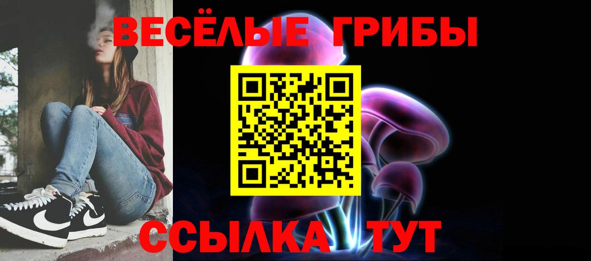 что такое   Псилоцибиновые грибы мухоморы  Вход с VPN  Моздок 